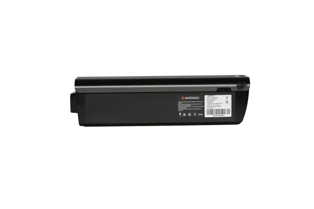20AH Rattan - Battery (For Quercus / Sequoia / Pinus Model) (Additional Battery Pre-sale, ship on Aug 9th) - Image 4