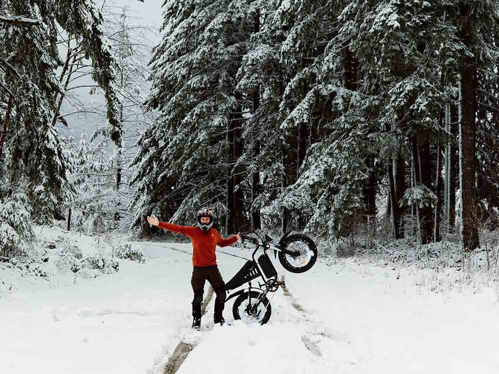 Freego S1 Cafe Racer Fat Tire Electric Bike - 48V 22.5Ah 750W, hydraulic brakes, 28MPH, up to 50 miles range - 100% Financing Available! - Image 3